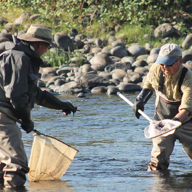 E-Fishing with KRCD Staff and Volunteers