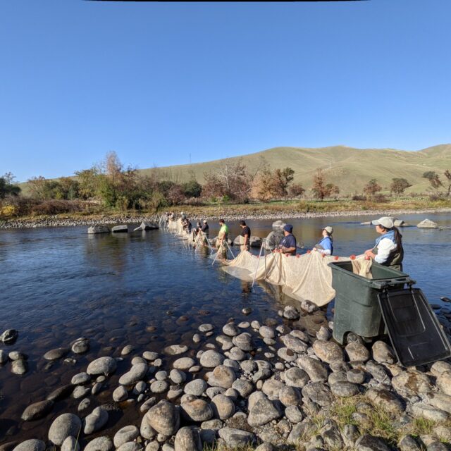 KRCD Staff setting up net for electrofishing in the Kings River