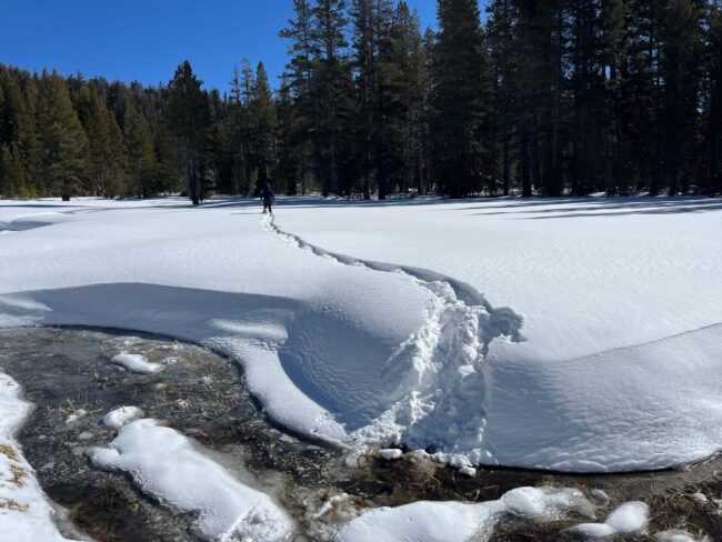 20250206_News Release_Kings River Snowpack Conditions
